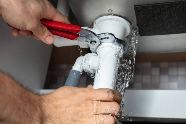 Water damage restoration mold remediation in WY