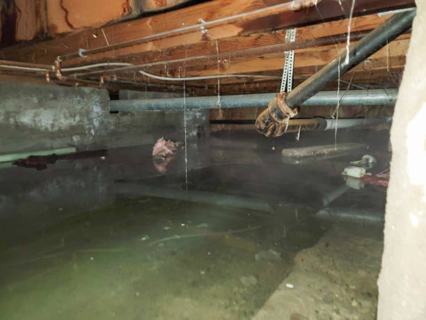 Best Flood damage cleanup  in Green River, WY
