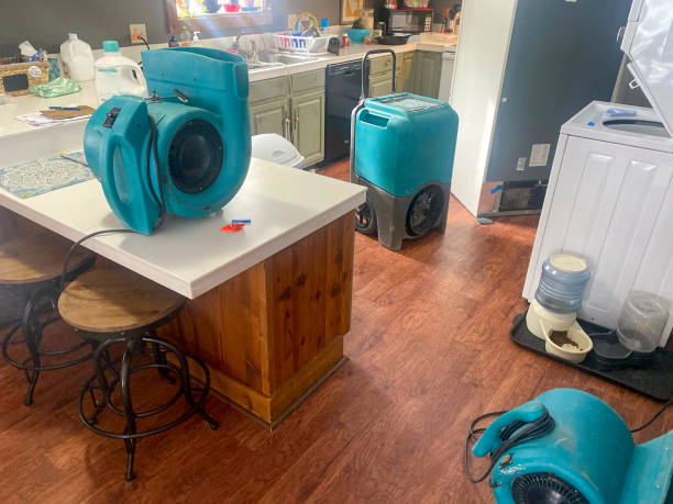 Best Water damage cleanup near me  in Green River, WY