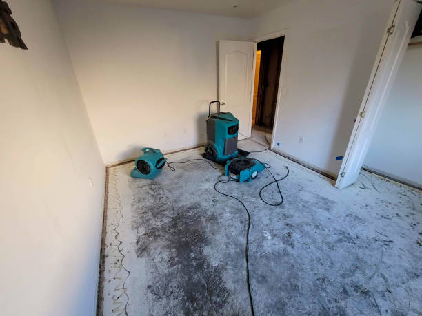 Best Ceiling water damage repair  in Green River, WY